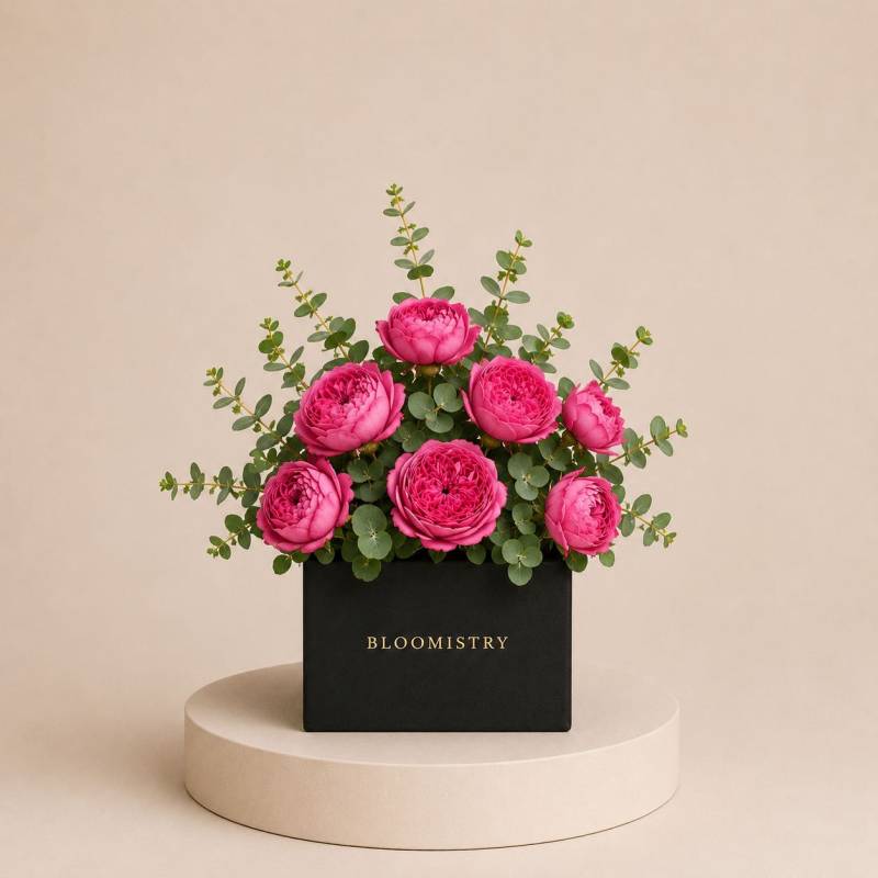 Dolce Magenta Hue Cube