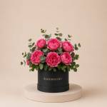 Dolce Magenta Hue in Box