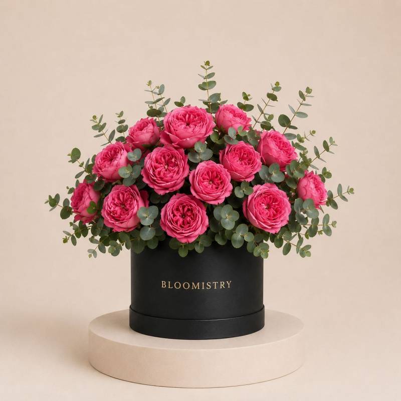 Dolce Magenta Hue in Box