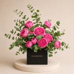 Dolce Magenta Hue Cube