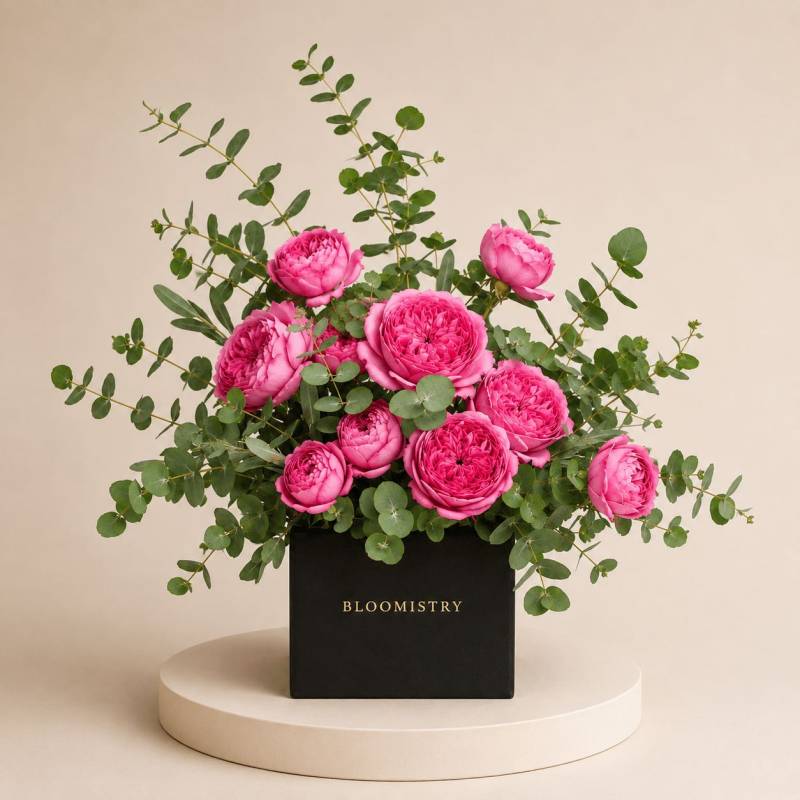 Dolce Magenta Hue Cube
