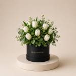 Tulipe Blanche in Box