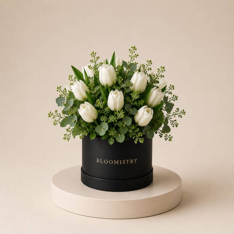 Tulipe Blanche in Box