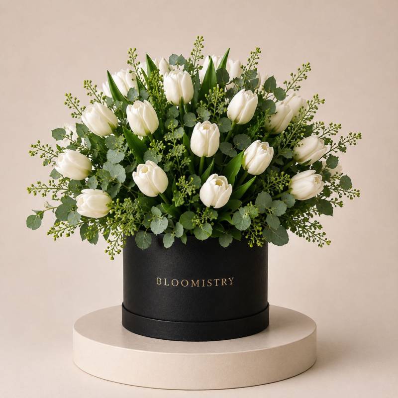 Tulipe Blanche in Box