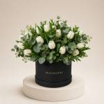 Tulipe Blanche in Box