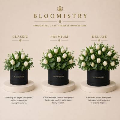 Tulipe Blanche in Box